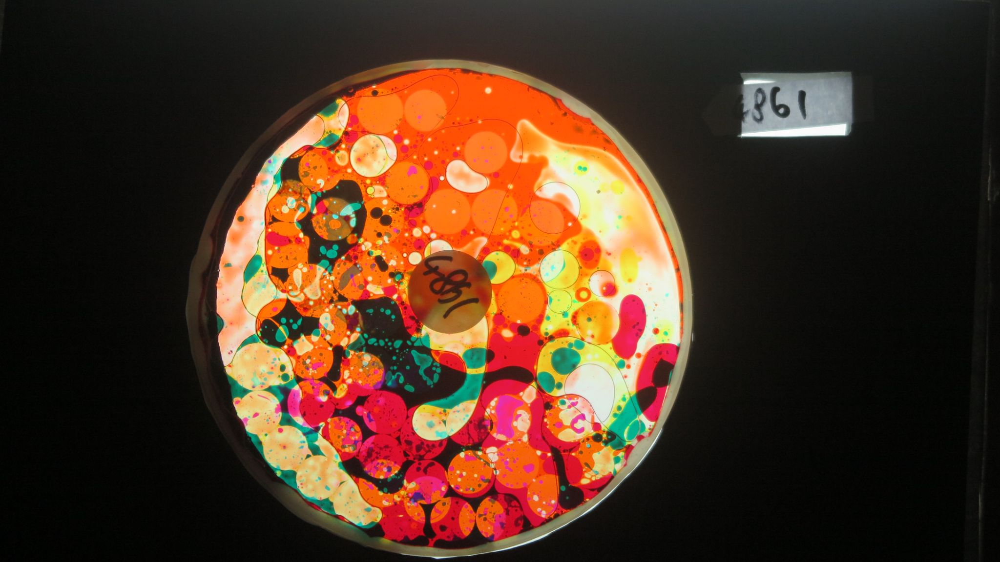 BV4861 bubble vision oil wheel